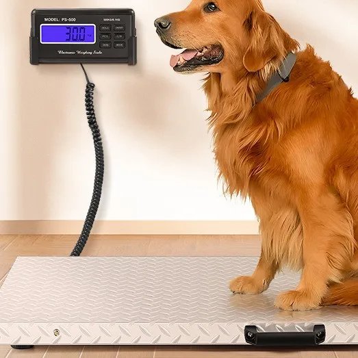 500Kg stainless steel anti-skid surface with support rod large pet electronic scale