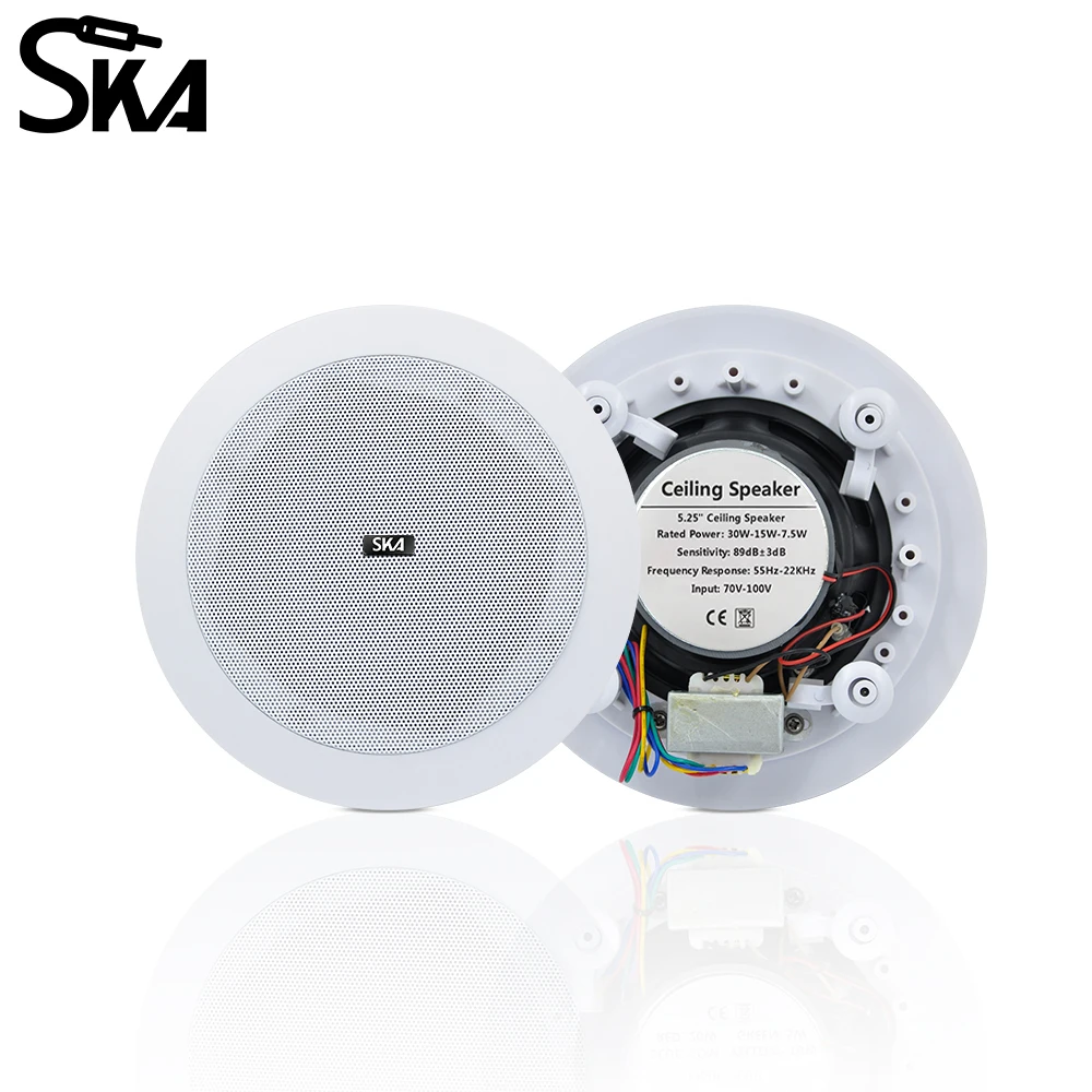 5.25 Inch 30W Ceili…