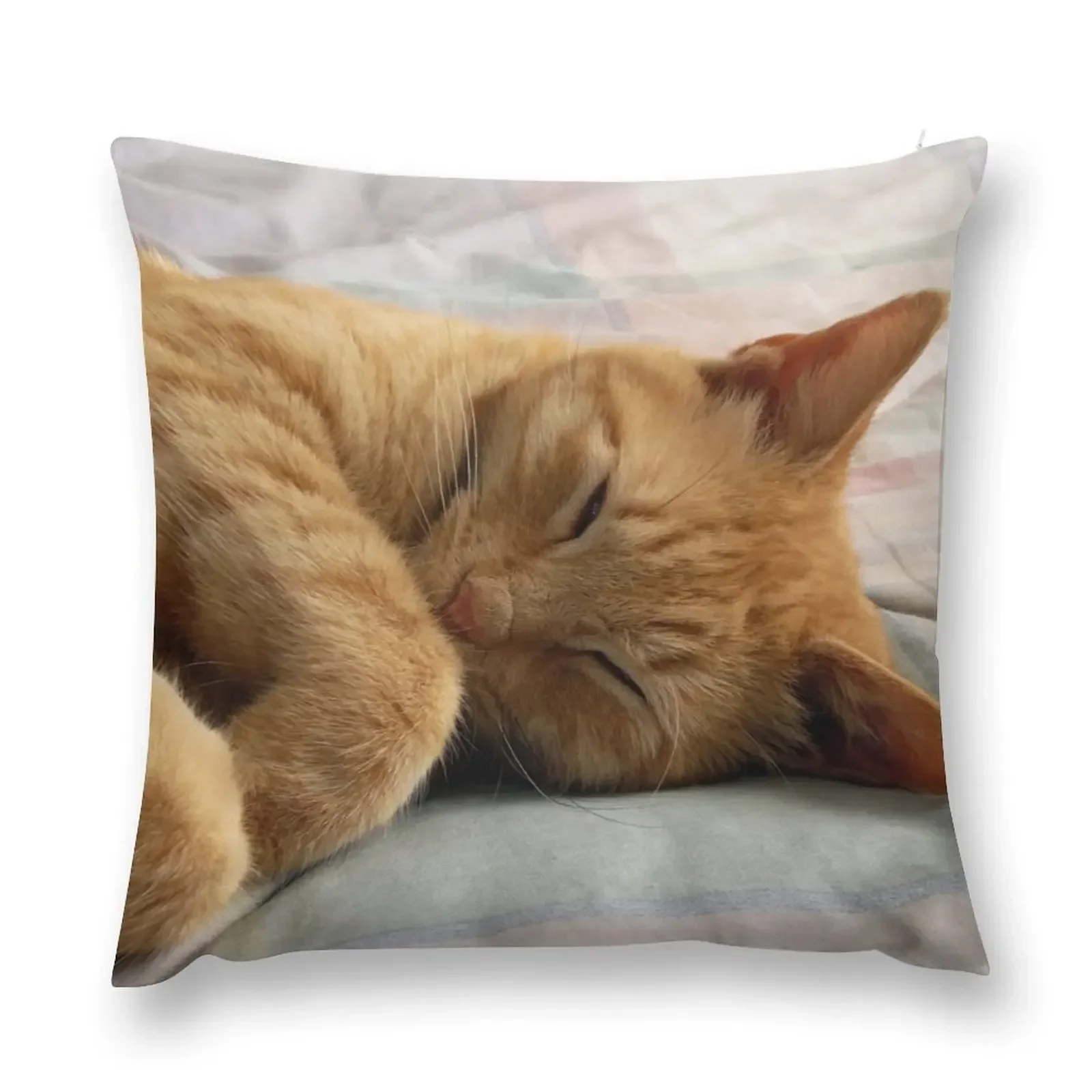 

Ginger Cat Sleeping Throw Pillow Luxury Cushion Cover Cushions For Decorative Sofa pillow