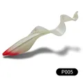 P005