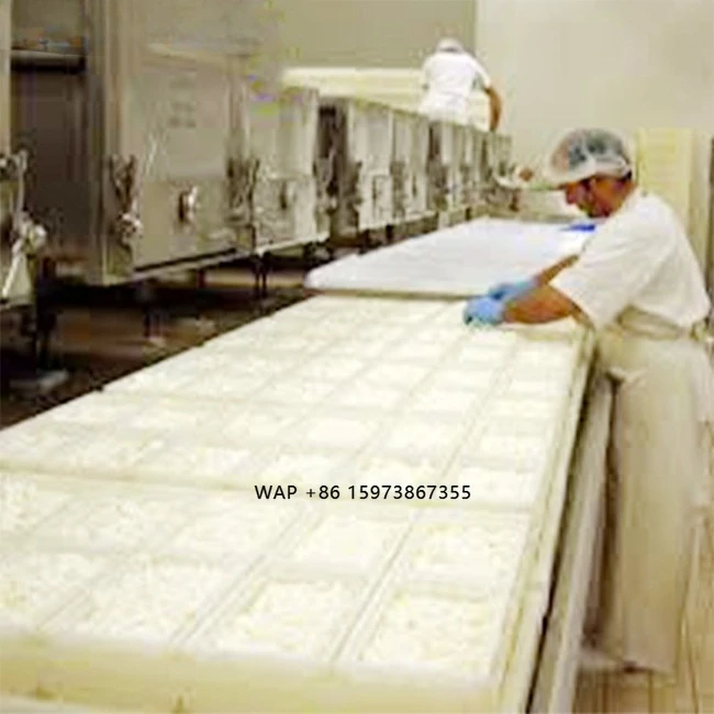 Small Cheese Making Machine Mozzarella Cheese Making Machine