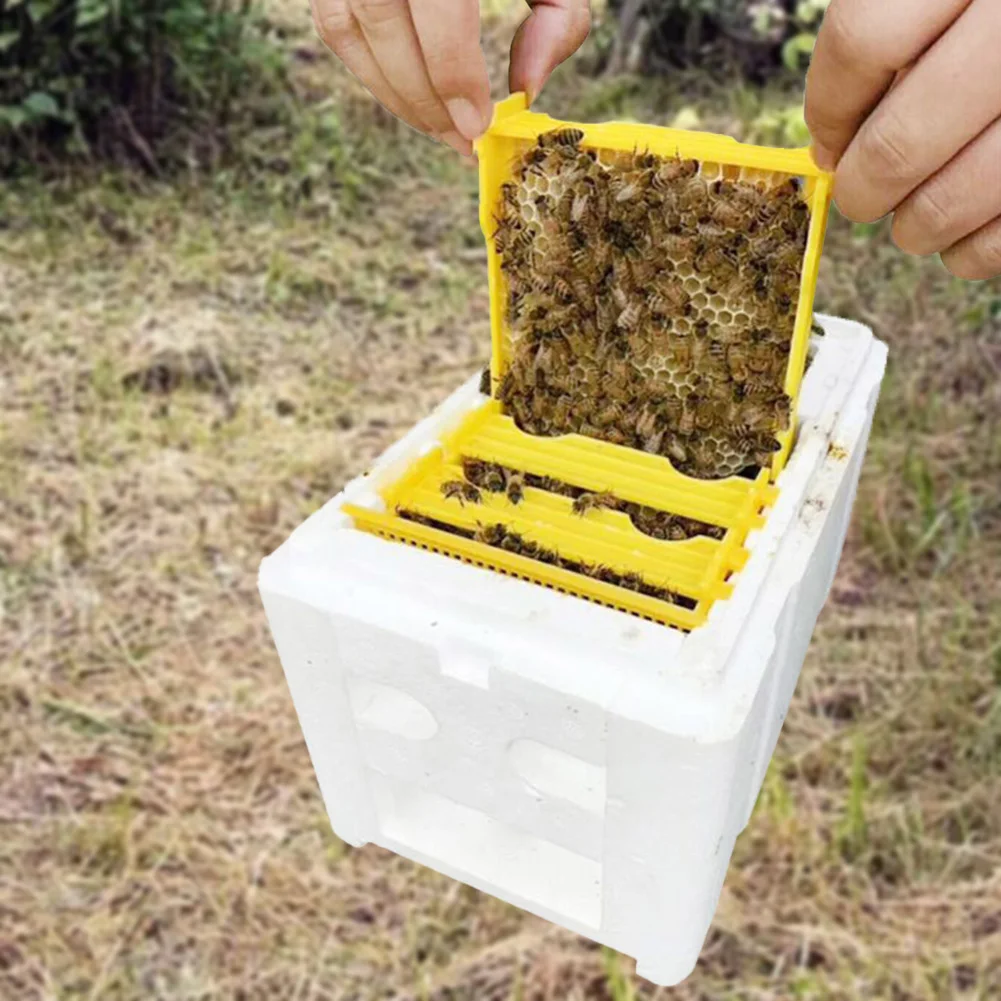 Foam Bee Box Versatile Queen Bee Breeding Box Beekeeper Case Queen Bee Rearing Beehive Beekeeper Suppliers