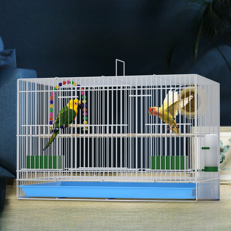 

Outdoor Toys Feeder Bird Cages Backpack Stand Hut House Bed Bird Cages Box Stuff Vogelkooi Accessoires Bird Supplies RR50BN