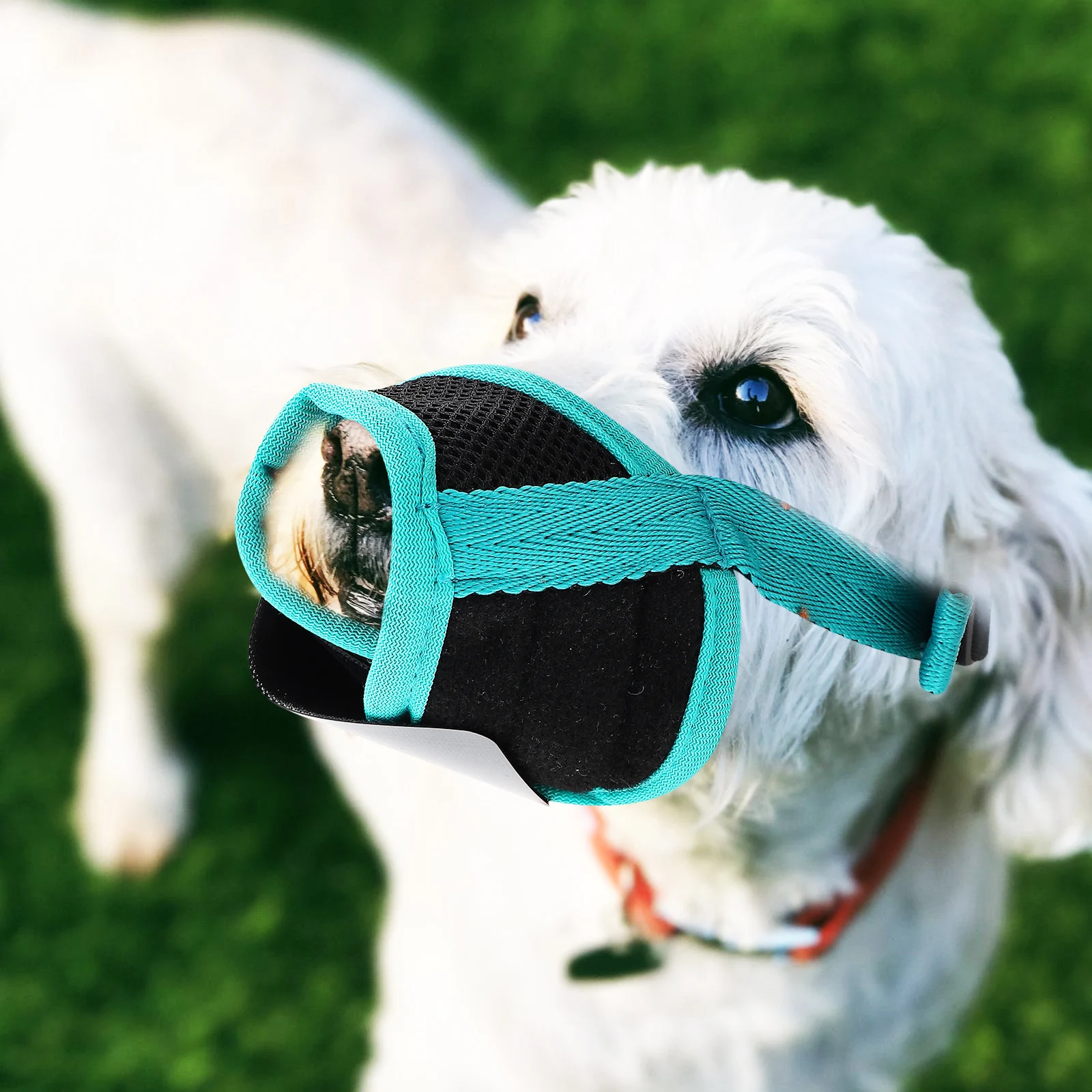 

Anti bite Muzzle Small Cotton Breathable Adjustable Prevent Biting Barking Chewing Pet Supplies Dog Collar Leash Hollow Mouth