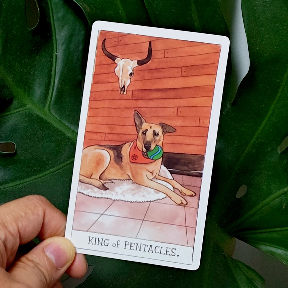 Dog Tarot Deck in Rigid Box, 78 Pcs Cards Inspired By Wise Companion Printed on 350GSM Double-embossed Cardstock 12*7cm