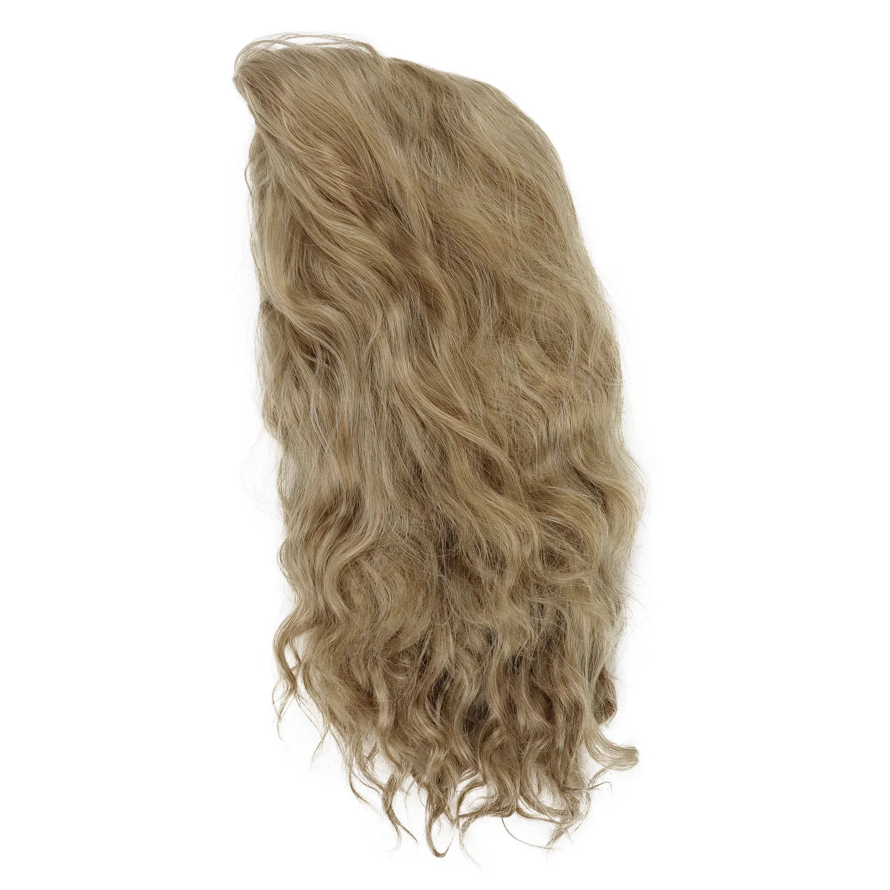 GNIMEGIL Synthetic Long Curly Wigs for Man Blonde Wave Hair Wig Men Cosplay Halloween Costume Natural Styles Party Male Gift Wig