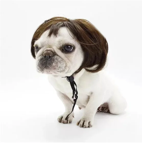 2024 new designing with excellent quality for pet dog cat cosplay pet wig for your lovely pet