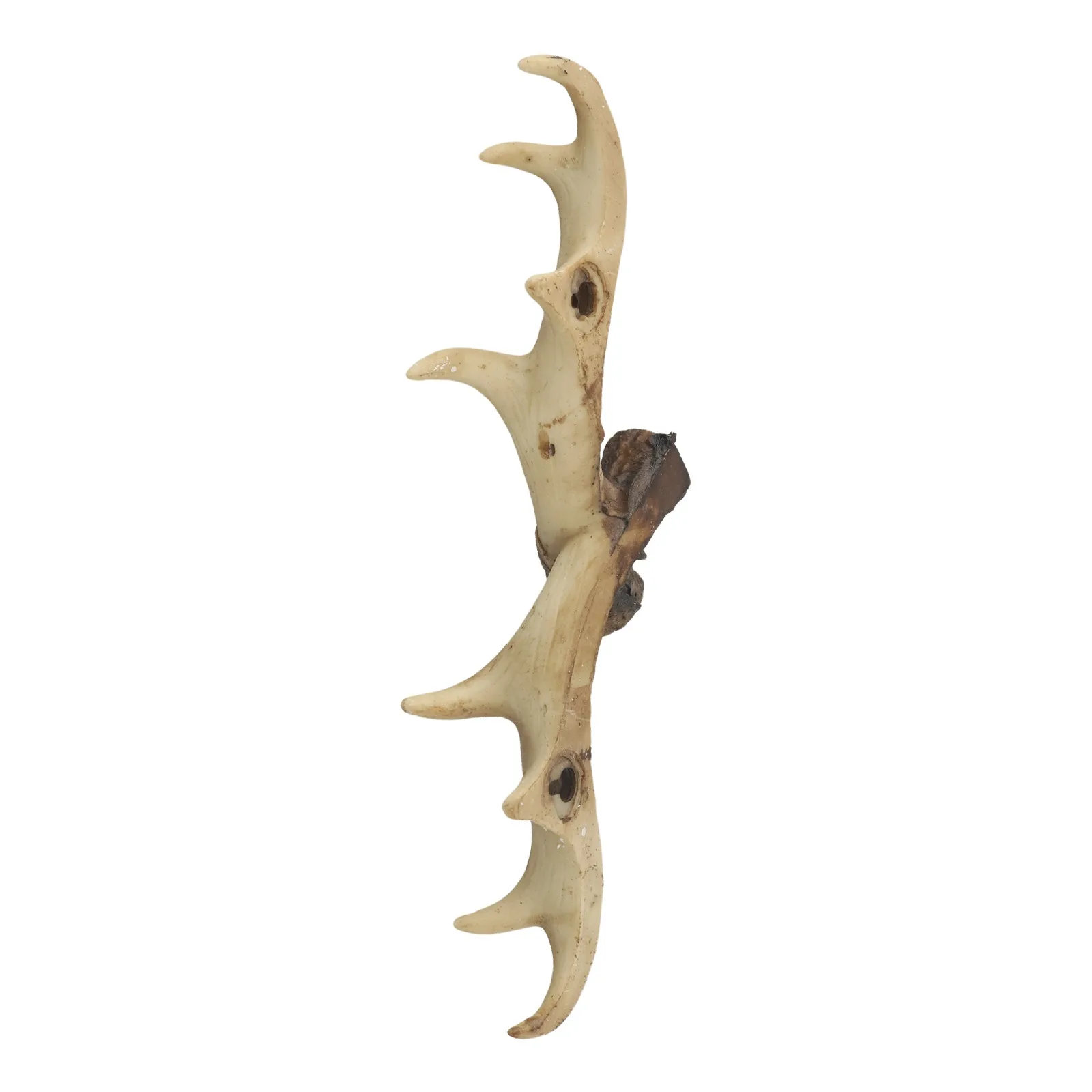 Nordic Vintage Deer Horn Decorative Hook Resin Wall Hanging Decor Rustic Charm 28 x 9 5cm Size Easy Installation