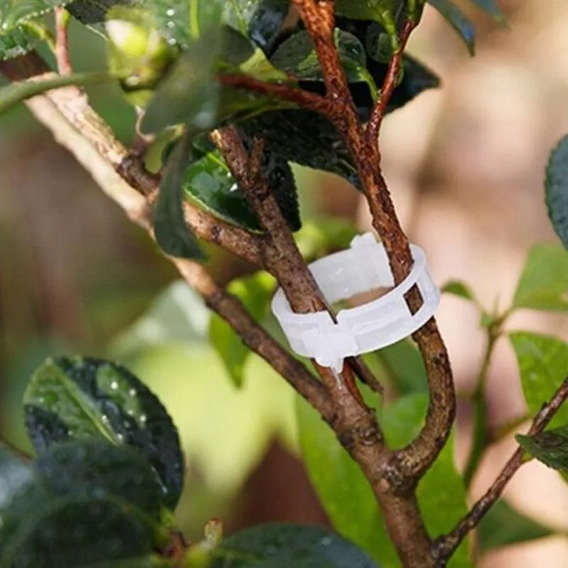 Tomato Fruit Tree Branches Garden Strengthen Fixing Tools Stalk Strengthening Retaining Support Clip Gardening Anti-break Holder