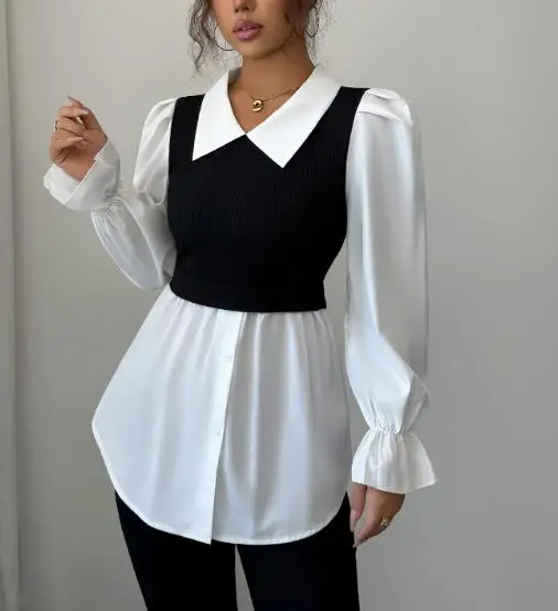 

Осень-зима 2025: элегантный и простой стиль, искусственная рубашка из двух предметов, жилет, верхняя женская одежда