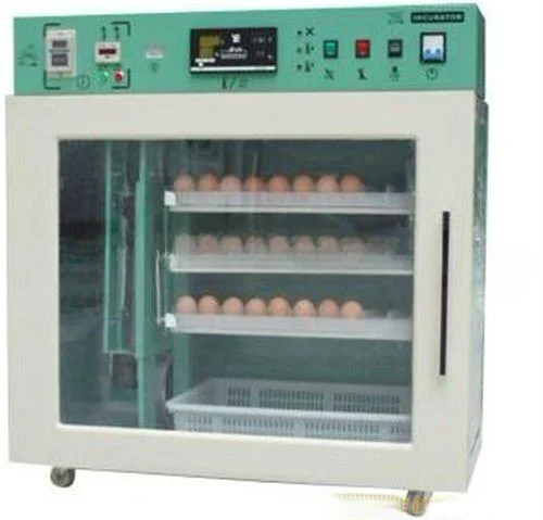 For eggs incubator with hatching