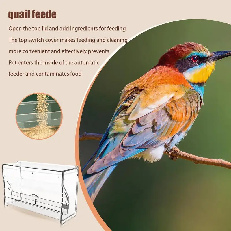 Quail Feeder 4 Clear Chicken Food Dispenser Chicken Feeder Practical Box Bowl Portable Easy To Install Detachable Quail Accesery