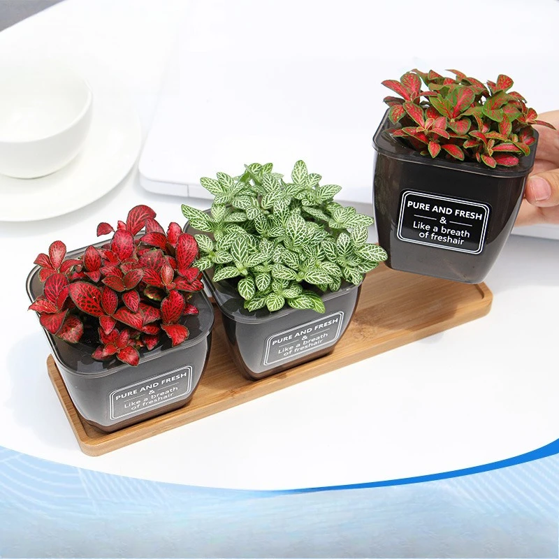 Horticultural flowerpot independent packaging T04 flowerpot set succulent small flowerpot