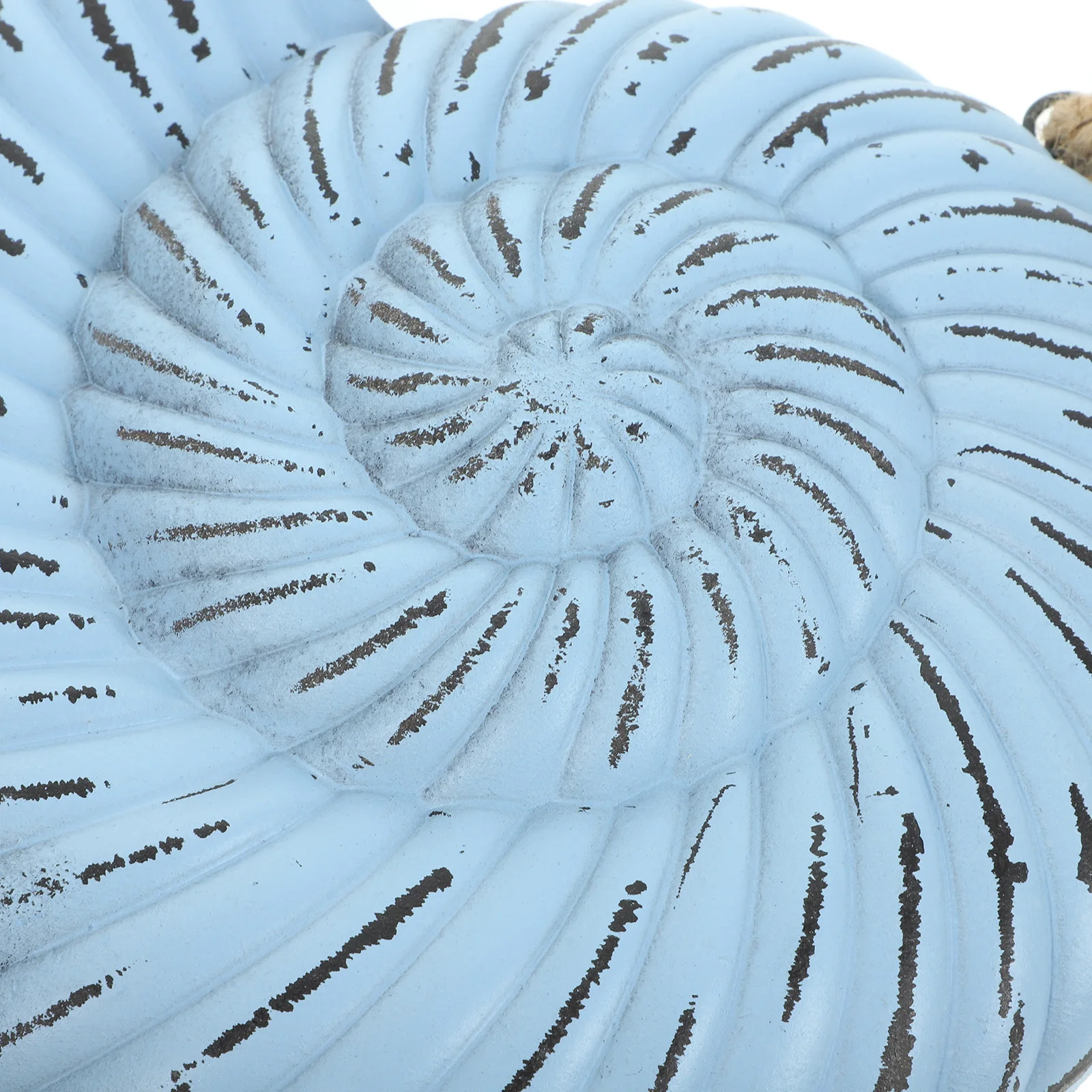 

Nautical Conch Wooden Wall Hanging Pendant Beach Themed Home Decoration Mediterranean Style Decoration