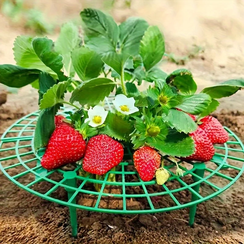 20/50Pcs Heavy-Duty Strawberry & Watermelon Planting Rack - Garden Support Frame with 3- Sturdy Design,Open Grid Drainage System