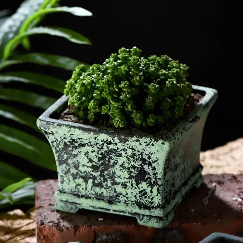 yesCeramic Colorful Square Flower Pot, Handmade Collection Bonsai, Garden Home Decoration, White
