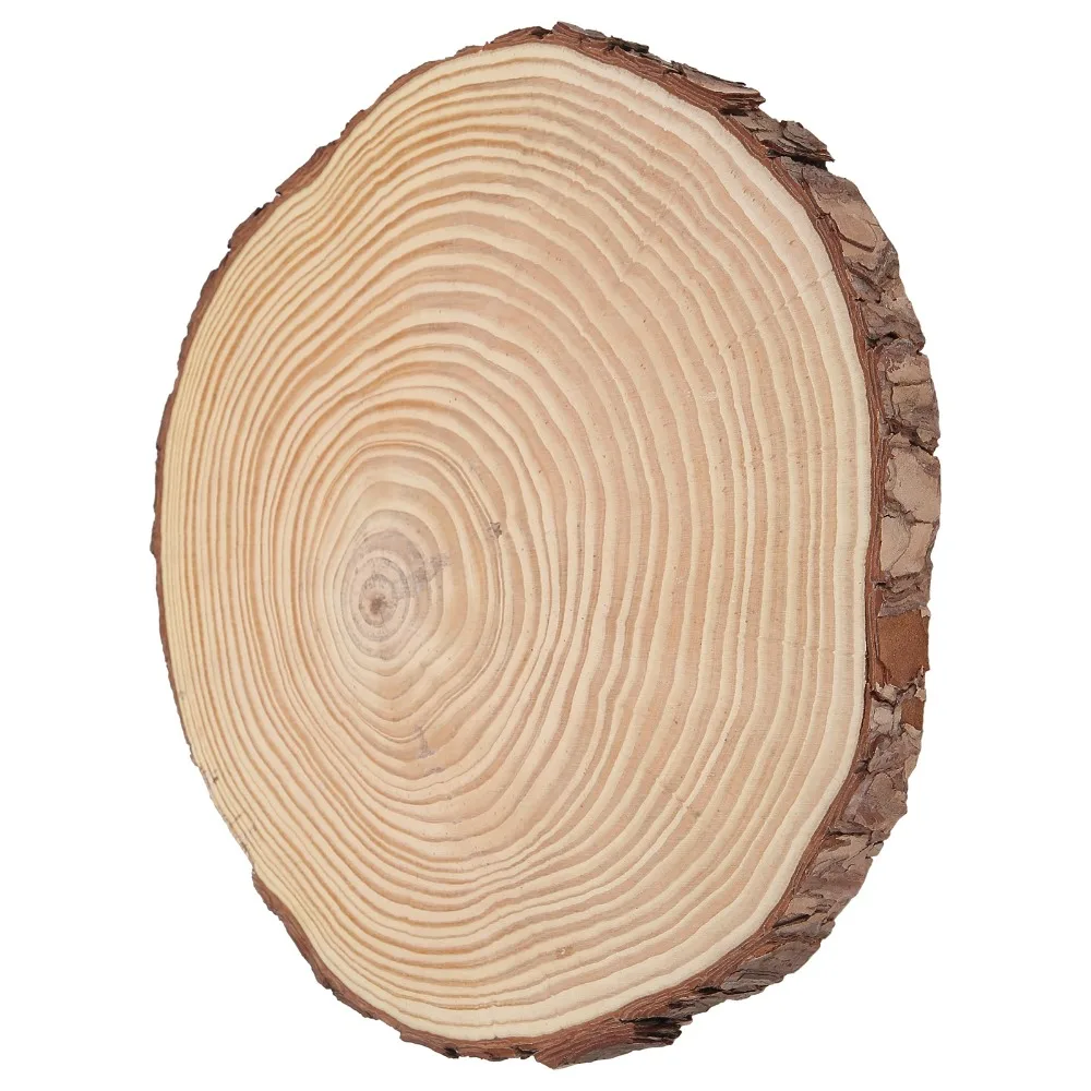 1pcs Charming Irregular Shape Wood Slices Unfinished Surface Weather-Resistant Wood Circles Log Slices Home Craft Project