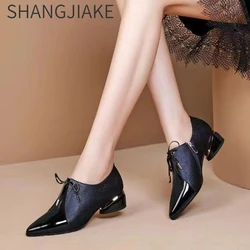 Retro Shoes Womens Pumps Pointed Toe Multicolor High Quality Slip-on High Heels Ladies Office High Heels Ladies Dress Shoes