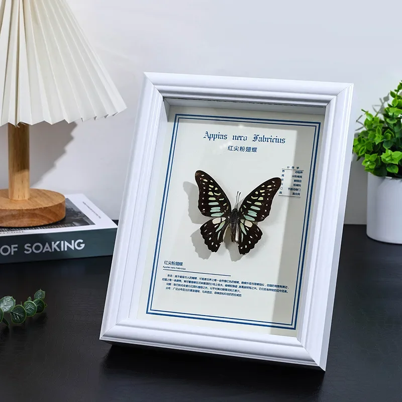 Stereoscopic Hollow Photo Frame Dried Flowers Butterfly Insect Specimen Frame Decorative Picture Frame Framing Office Decoration