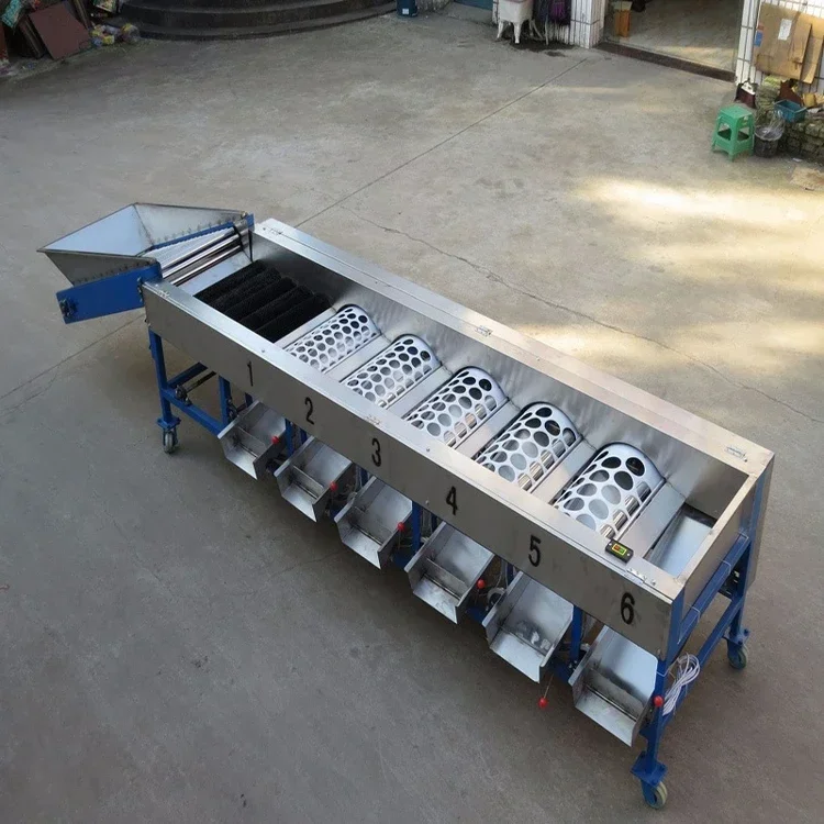 Vegetable/fruit sorting machine Stainless steel fruit selection/classifier/sorter/screening/grading machine for Cherry Pear Date