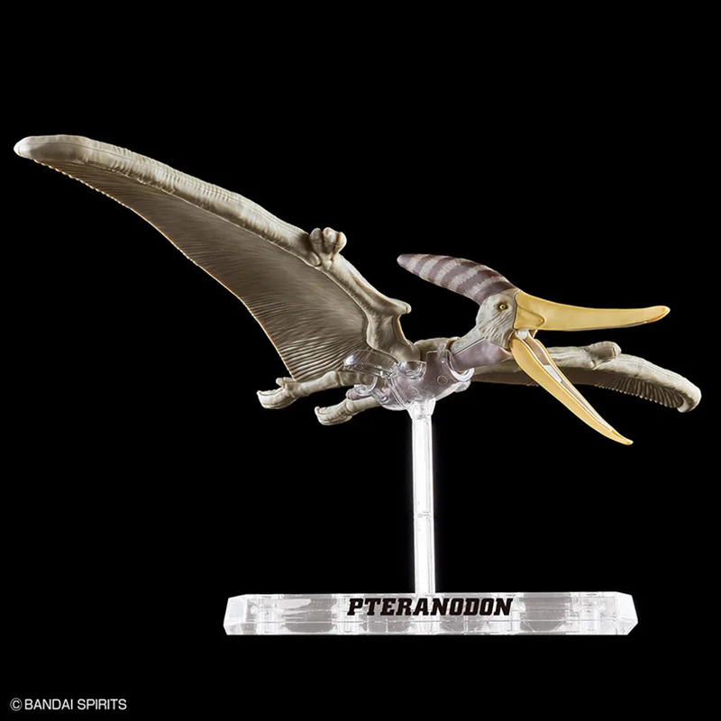 BANDAI-Modelo de Montagem de Dinosauria Plannosaurus e Pteranodon, Action Figures, Contendo Fósseis Esqueléticos, Presentes Originais