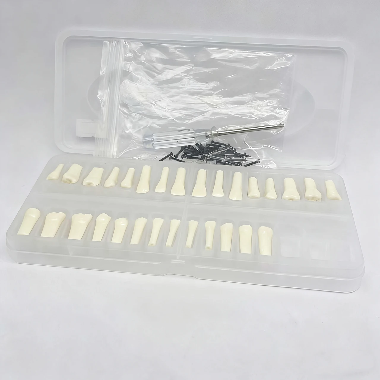 

32pcs Removable Typodont Dental Teeth Model Full teeth Screw-in Practice Filling Soft Gum Gingivae Teeth Training Teach