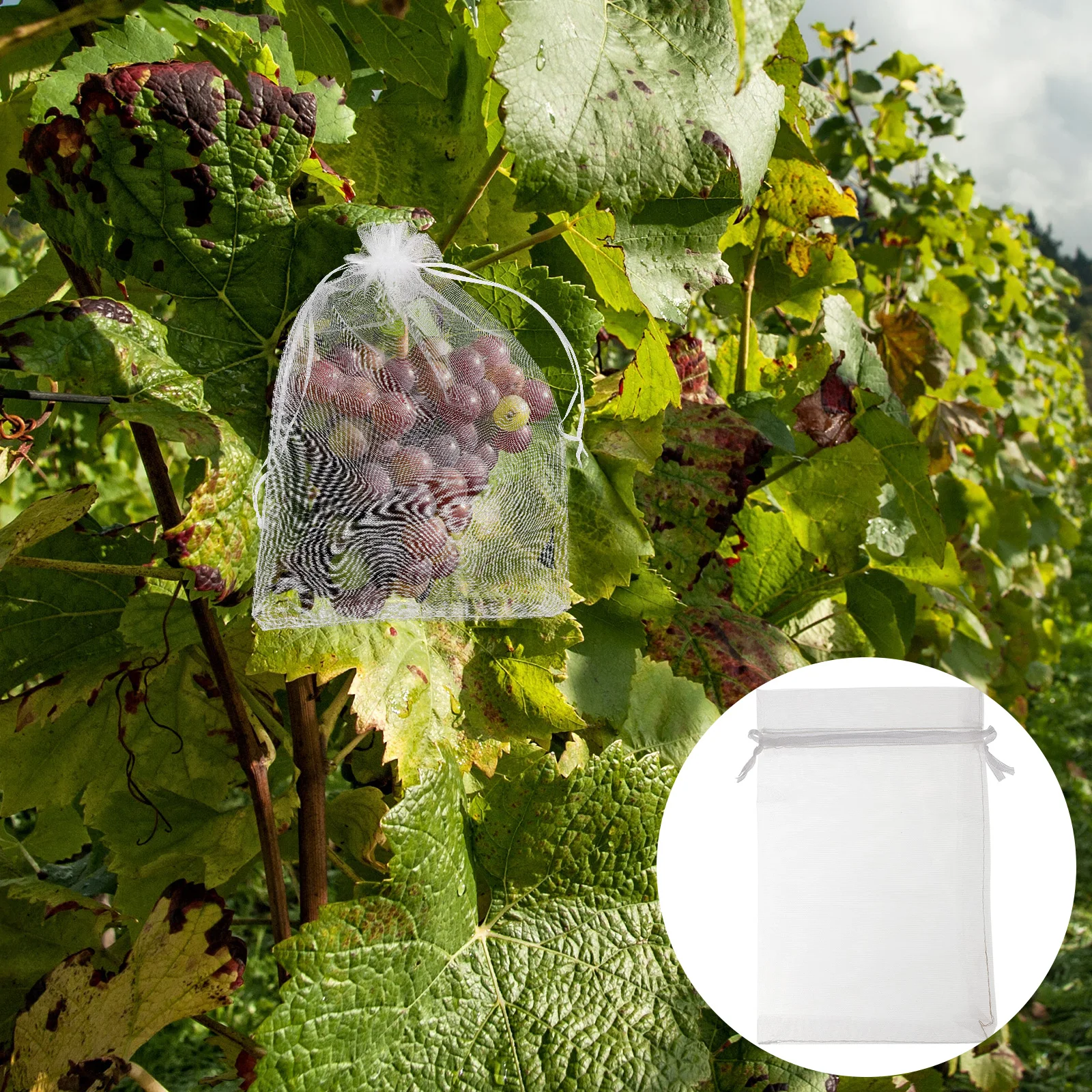 

100pcs Fruit Protection Net White Mesh Bags 10x15cm Anti bird Anti Plant Cover Strawberries Vegetables Flowers