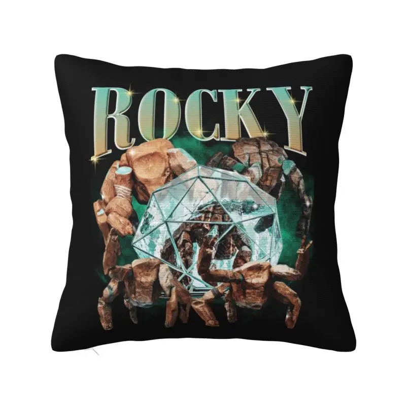 Custom 2026 New Rescue Plan Funny Projects Hail Mary Rocky Pillow Covers Cushion Cover Decoration Salon Square Pillowcase