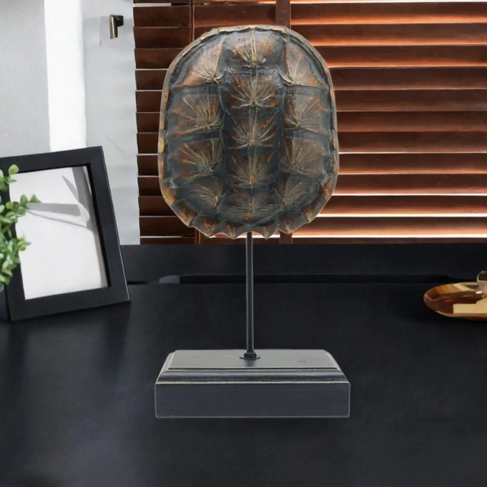 

Turtle Shell Sculpture Turtle Shell Statue Office Good Luck Crafts