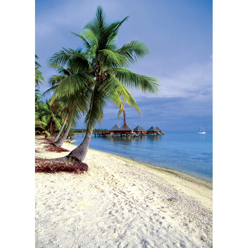 Estate Tropical Sea Beach Palms Tree Photography Background Natural Scenic Photo fondali Photocall Photo Studio 1911 CXZM-01