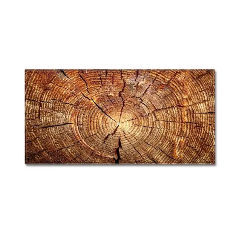 Wood Grain Household Crystal Pile Carpet Kitchen Doormat Bathroom Bedroom Absorbent Non-Slip Carpet