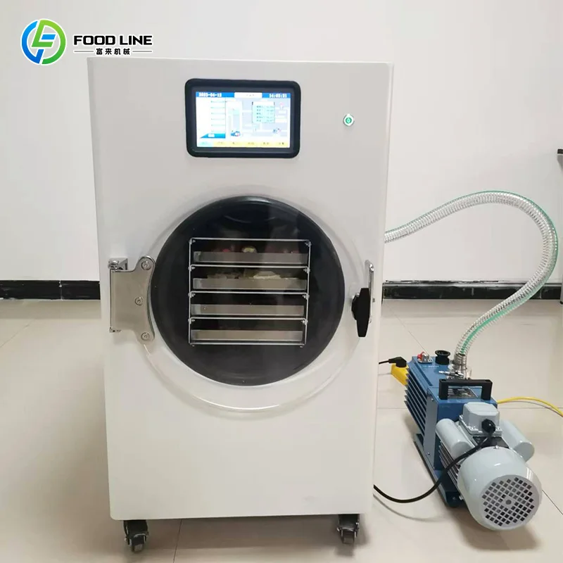 Custom Household Small Food Freeze Dryer Vacuum Freeze Drying Machine for Fruits and Meat