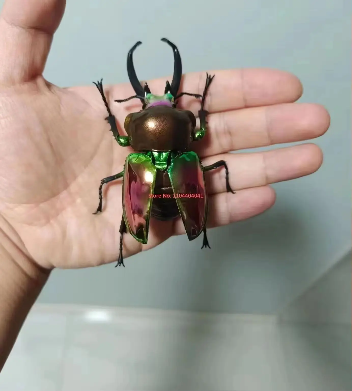 Hot Bandai Stag Beetle Gashapon No.10 - Rainbow Life Cycle Insect Model Realistisch stamspeelgoed Klassiek verzameldierfiguur