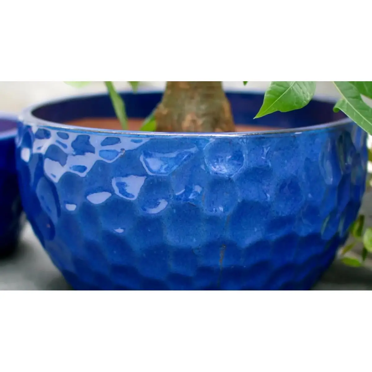 Handmade Ceramic Planter Set of 3, 15
