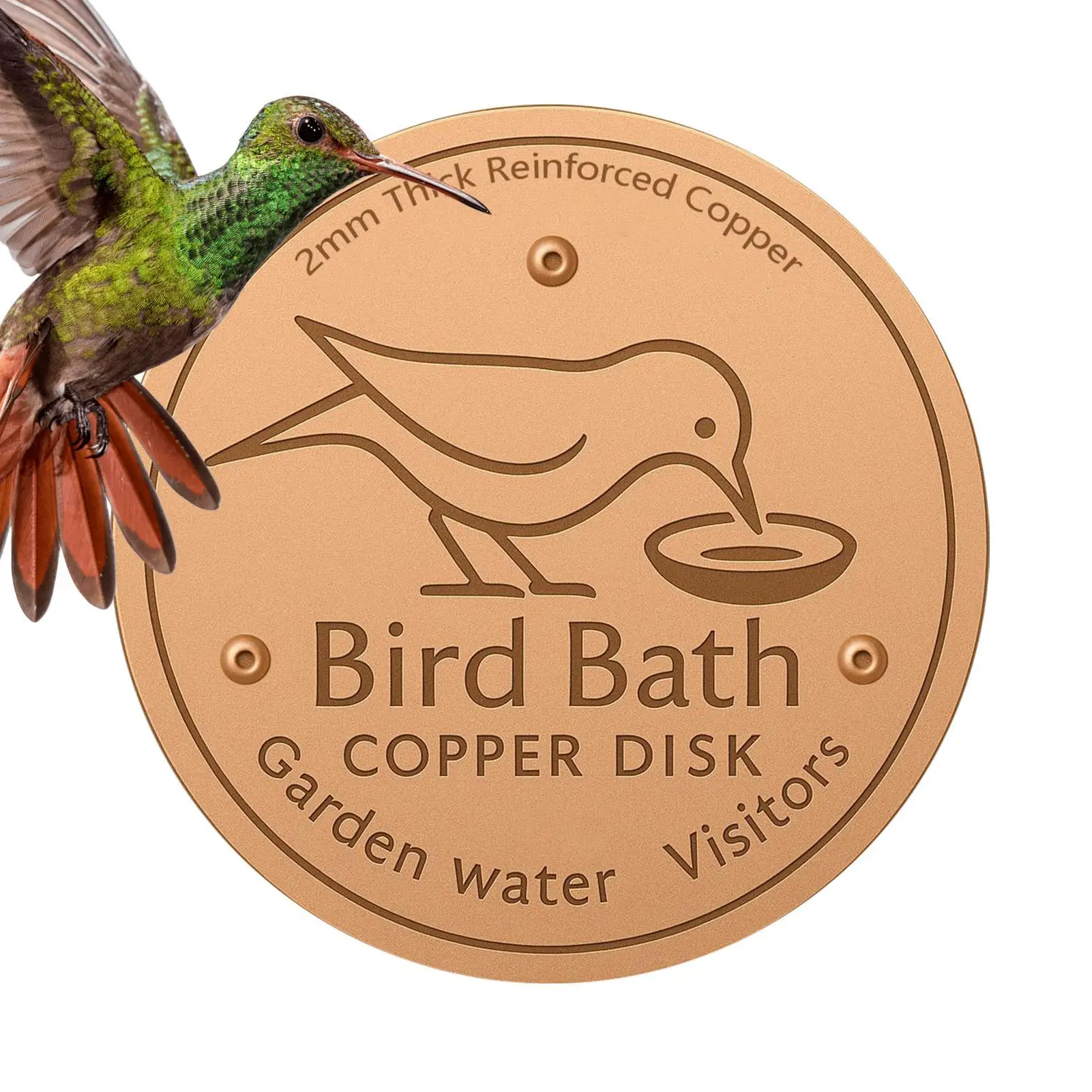 Water Fountain Disk For Bird Bath Bath Disk Ornaments Feeder Accessories Triple-Point Support Purifier Plate For Patio Fountain
