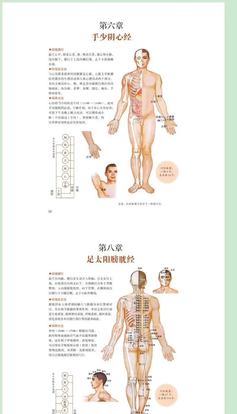 TCM Standard acupoint location Atlas Guide Book - massage, Guasha, moxibustion, reflexology