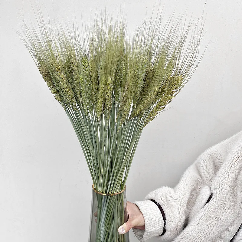 Natural Fluffy Pampas Grass Dry Pompous Grass Decor Wedding Flower Boho Decor Natural Pompas Flower Bouquet Millet flore - Image 3