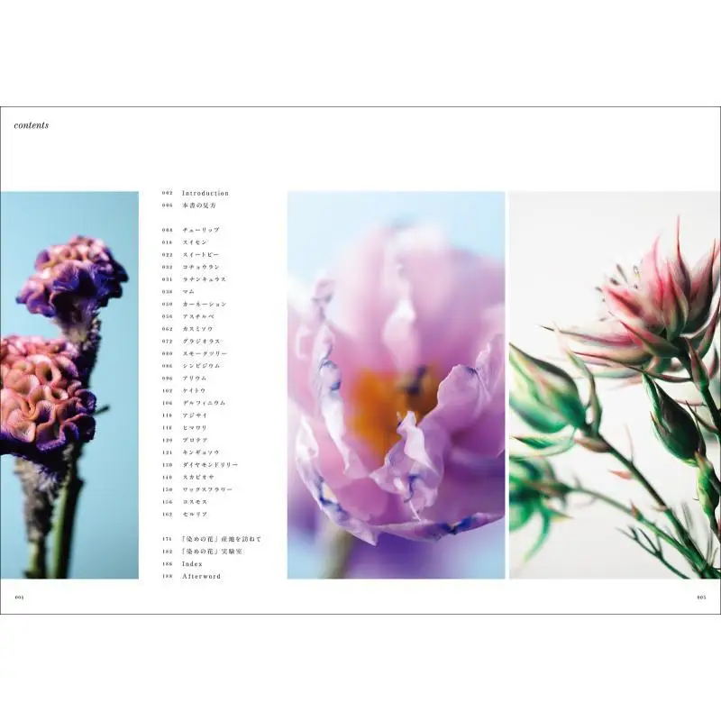 Flower Design Guide Yuki Maeda Seibundo Shinkosha 9784416522073 Book