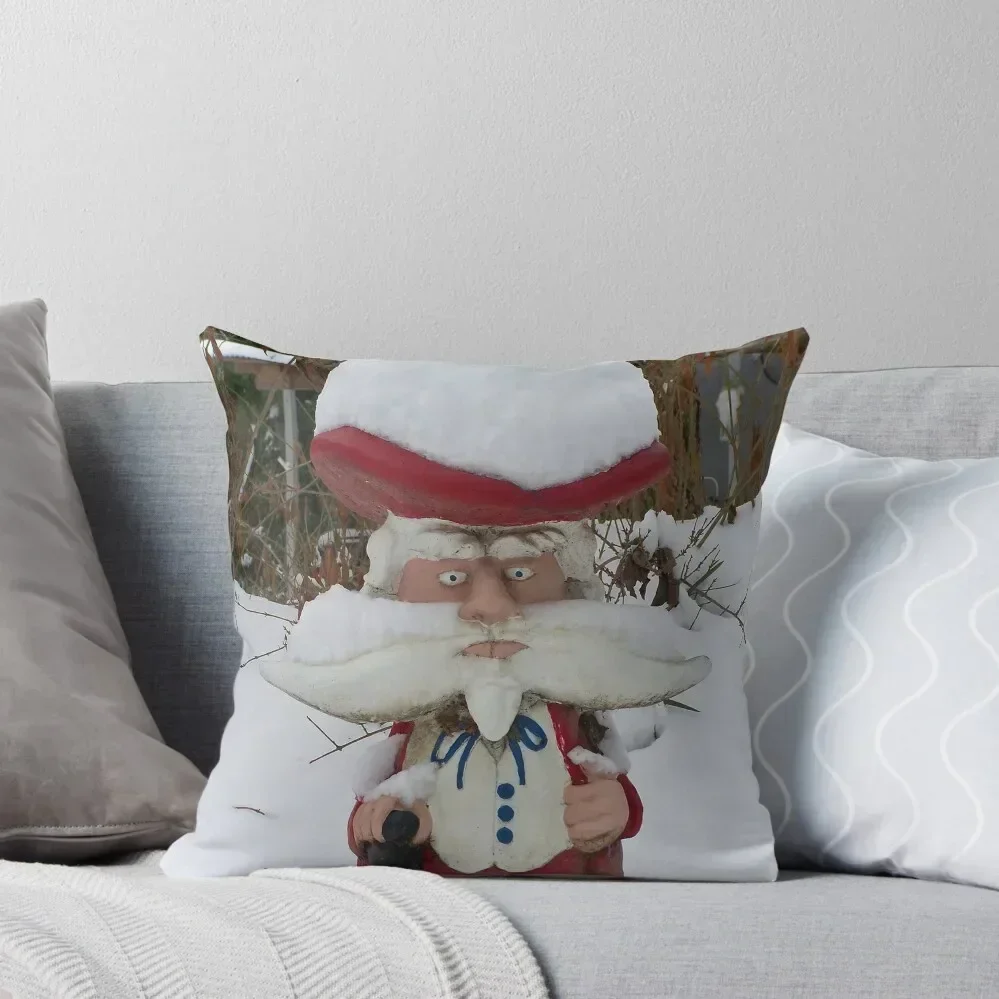 Colonel Reb Is Not Amused Throw Pillow Covers For Sofas Cushion Cover Set pillow