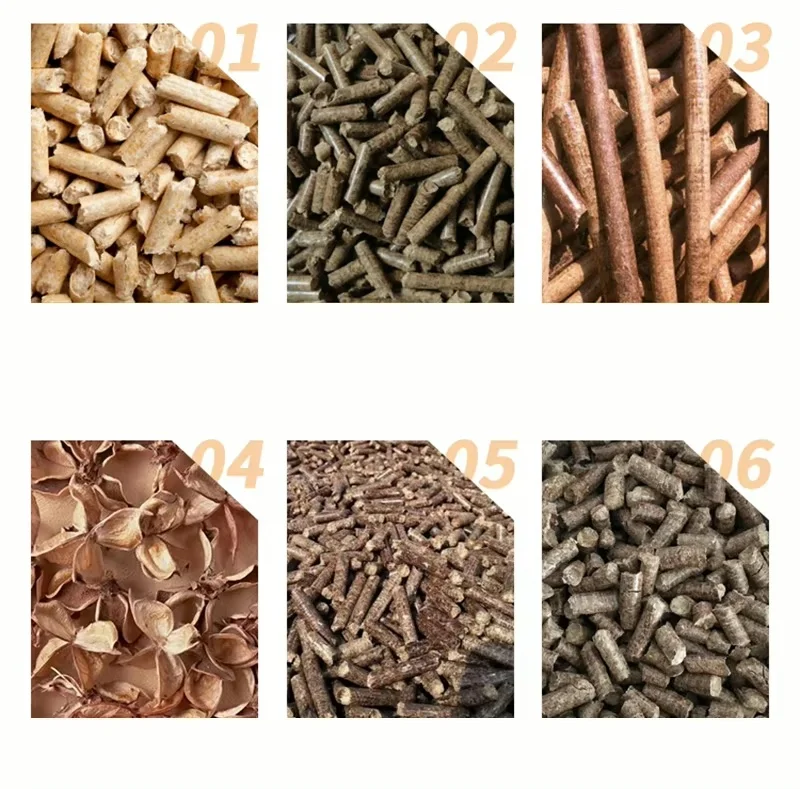 Wood Sawdust Coal Pellet Machine/biomass Pellet Mill Agricultural Wastes Pelletizer/corn Straw Granulator