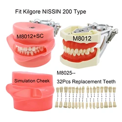 Kilgore Nissin 200 typ pasuje do śruby dentystycznej-w 32 sztuk napełnianie Model zębów Typodont Demo standardową praktyką uczyć się symulacji policzek