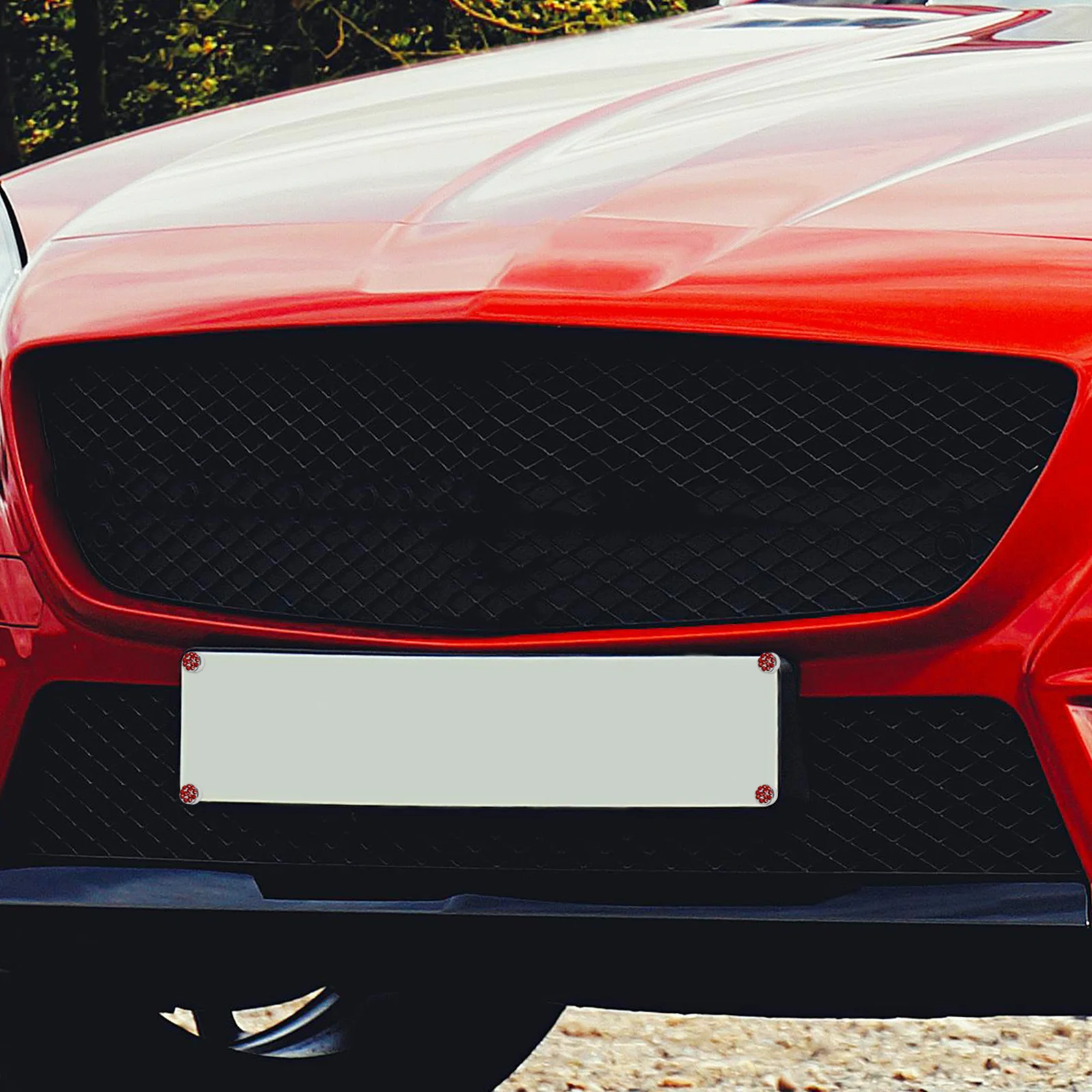 

1Set Car License Plate Screw Kit Anti-Theft Security Screws Durable Electroplated Caps Universal Fit Fastening