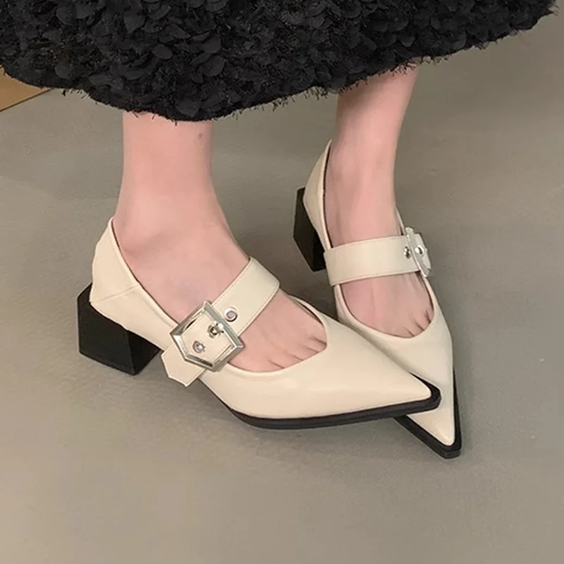 Pointed Toe High Heels Shoes Women Sandals Spring Chunky Dress Shoes Designer 2024 New Summer Buckle Pumps Zapatillas Female