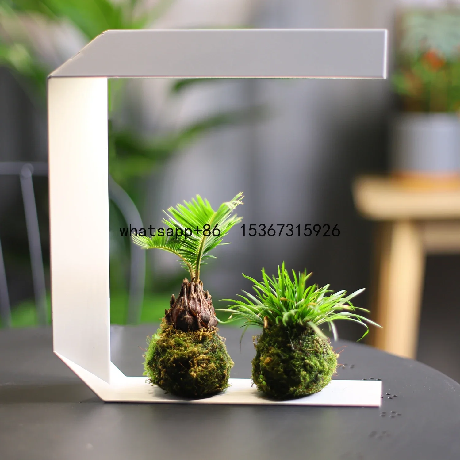 

J&C minigarden metal cycle timer indoor plant light led grow gardyn indoor smart system growing indoor lights white