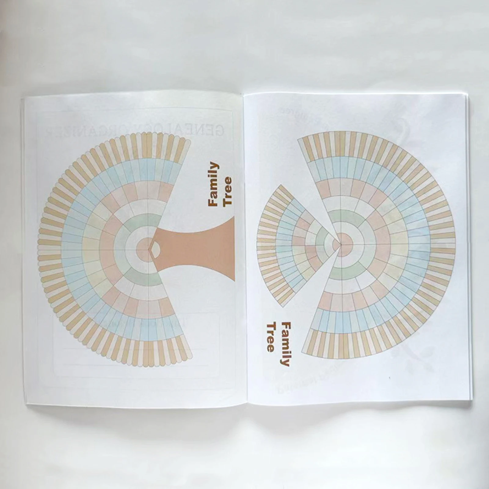 Genealogy Organizer Family Tree Book With Multi Generation Tracking And Structured Layout For Family History Preservation