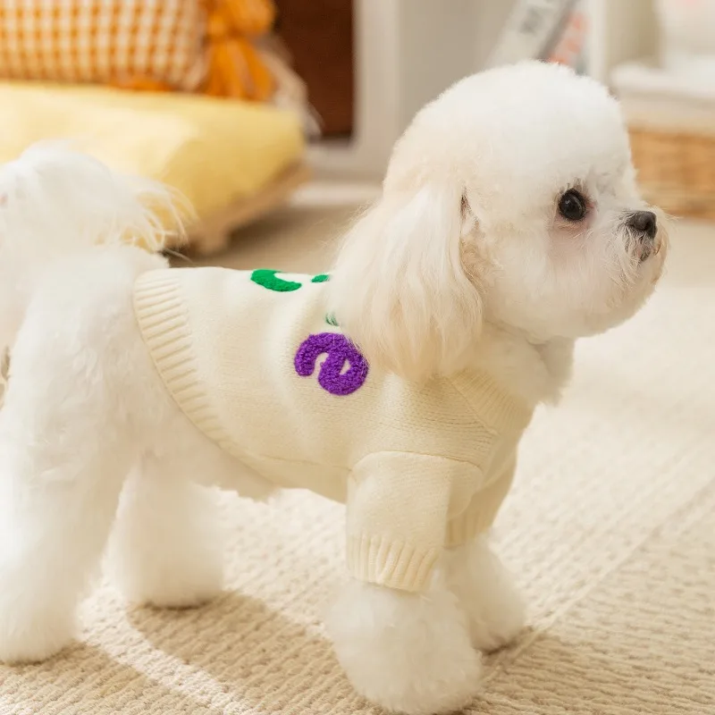 Colorful Alphabet Dog Sweater Autumn and Winter Warm Knit Teddy Soft Pullover Puppy New Year Two Legs Clothes