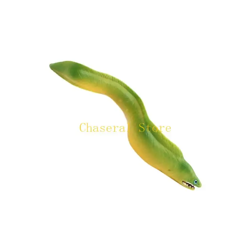 E7CE Sea Fish Model Figurine Simulation Eel Figure for Classroom Teaching Use
