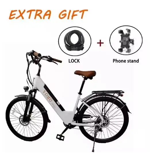 Adult Electric Bikes Ladies 1000W 16Ah E Bikes Electric Ebike 48V Electric Motorbike Cycling Cheap Road Bicycle