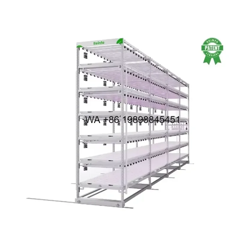 Wmwmnu for Reinfa Industrial Vertical Farming System Hydroponic Lettuce Production Equipment with NFT Technology