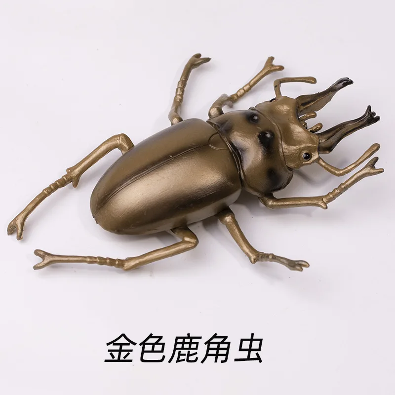 Realistisch insectenmodel: Langhoornbij, wetenschappelijke kever, actiefiguren, Dynastes, wild insect, levensechte insectfiguren